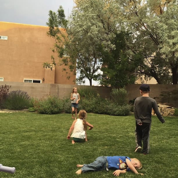 Children Playing in Lawn