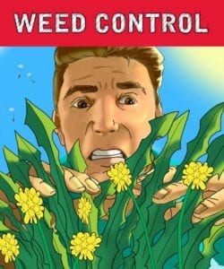 Weed Control In Albuquerque 
