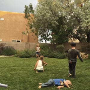 When Lawn Pests are Most Active in Albuquerque