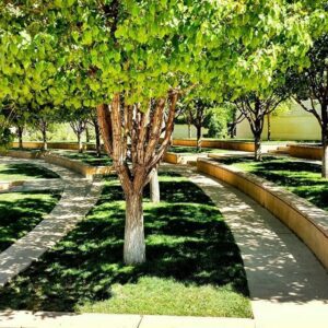 Seasonal Groundskeeping Services in Albuquerque, NM